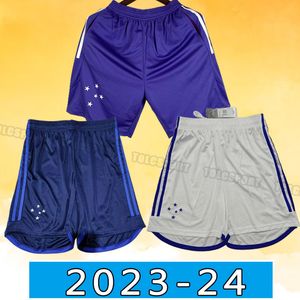 2023 2024 Camisa Cruzeiro voetbal shorts 100 -jarig jubileum voetbalbroek 24/25 Home Pottker Dede R.Sobis Camiseta de raposas Men Football Shirt Training