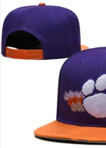 2023 All Team Fan's USA College Penn State Nittany Baseball verstelbare hoed op veldmix Order Gesloten platte Bill Basis Ball Snapback Caps Bone Chapeau A1