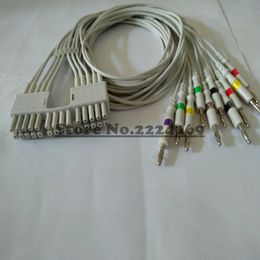 2023 Compatible pour Mortara Eli 230L Télémétrie ECG Holter Cable avec 10 pavages, Banana End IEC / AHA ECG standard ECG