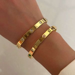 2023 Dazan Nieuwe Ins 18k Verguld Roestvrij Staal Hoge Kwaliteit Gepolijst Super Shine Kleurrijke Zirkoon Cnc Verstelbare Armband