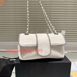 2023 Designer sac chaîne argent chaîne sac rétro doux coffre femmes boîte sac cosmétique étui de luxe fourre-tout sac à main embrayage en cuir véritable bandoulière chaîne sac 9.8in