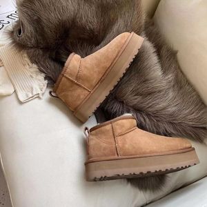 2023 concepteur femmes bottes de neige plate-forme chaude botte australienne intérieur australie Tazz pantoufle maison chaussure hiver paresseux fourrure chaussons