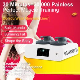 2023 DLS-EMSLIM Neo 12 Tesla High Power Hi-emt Body Muscle Contouring Massage Machine Emszero Ems Bekkenbodem Stimulatie Apparatuur