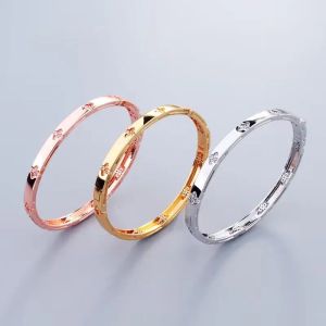 Nieuwe Mode Goud Zilver Dames Gouden Armbanden Dame Schroef Mannen Schroevendraaier Diamant Luxe Designer Sieraden Dames Heren Bangle Box extra nodig