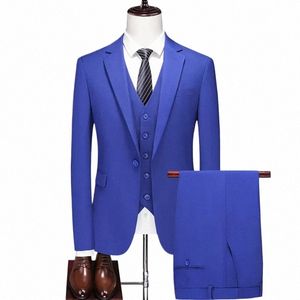 2023 Fi Nouveaux hommes Boutique Busin Slim Solid Couleur Costume Ensemble / Mâle Slim Fit Double Split Dr Blazers Veste Pantalon Gilet p2nZ #