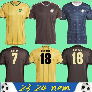 Maillots de football de la Jamaïque 2023 23 24 équipe nationale de football Bailey ANTONIO REID Nicholson LOWE MORRISON maillot d'entraînement à domicile maillots de football personnalisés