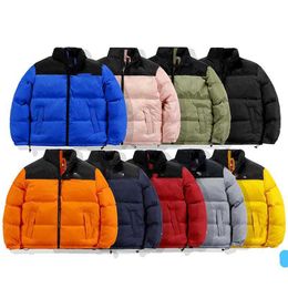 2023 Mens Designer Down Jacket North Winter Coton Femmes Vestes Parka Manteau Face Coupe-vent en plein air Couple Épais Manteaux chauds Tops Outwear Multiple Colour111