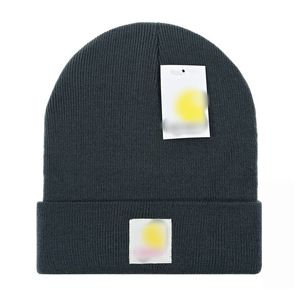 2023 NOUVEAU Bonnet Caps pour hommes femmes automne hiver chaud épais laine broderie chapeau froid couple designer tricoté mode chapeaux de rue E-17