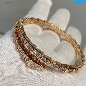 2023 nouveau bracelet serpent ensemble de briques femme, bracelet en argent bracelet en or jaune pour envoyer des cadeaux aux copines12