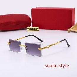 2023 nieuwe designer fashion zonnebril voor mannen vrouwen zwart cool snake serie zonnebril heren dames brillen dames outdoor strand ontwerpers Eyewear lunettes C783R