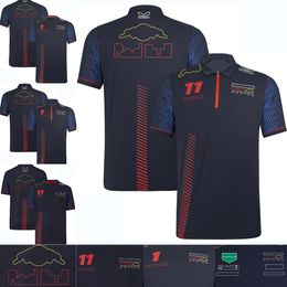 2023 Nieuw F1 Racing Team T-shirt Poloshirt Zomer Formule 1 Heren T-shirts met korte mouwen Custom Driver Same Fan T-shirt Sneldrogend Top