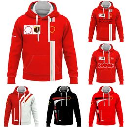 2023 Nieuwe F1 Team Fans Hoodie Formule 1 Driver Racing Sweatshirt met capuchon Lente en herfst Race Extreme Sports Heren Hoodies Pullover