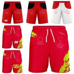 2023 Nouveaux fans de l'équipe F1 Shorts Formule 1 Shorts pour hommes Racing Extreme Sport Enthousiaste Shorts respirants Casual Beach Pantalons courts pour hommes