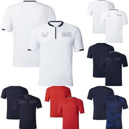 2024 Nieuwe F1 Team Racing T-shirt Formule 1 Driver Casual Polo Shirt T-shirt Zomer Racing Fans Sport Ademende T-shirts voor Heren