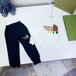 2023 printemps automne bébé garçons filles 2 pièces/ensembles vêtements enfants coton veste de sport pantalon enfant en bas âge mode vêtements enfants gris survêtements