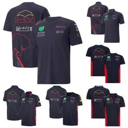 2023 Camisetas Polo F1 Camisa para hombres Camiseta de piloto de carreras Camisetas del equipo de fórmula Solapa Uniforme Tops Verano Camisas deportivas para hombres Motocicleta j