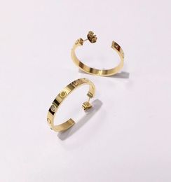 2023 Titanium Steel Gold Hoop Earring para mujer Exquisito Fashion C Diamond Ring Lady Earrings Jewellry Gift3583193