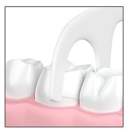 Fil dentaire jetable, 10 pièces/sac, cure-dents, bâton de dents, nettoyage buccal, soins, fil dentaire jetable, 2024, 10 pièces/sac