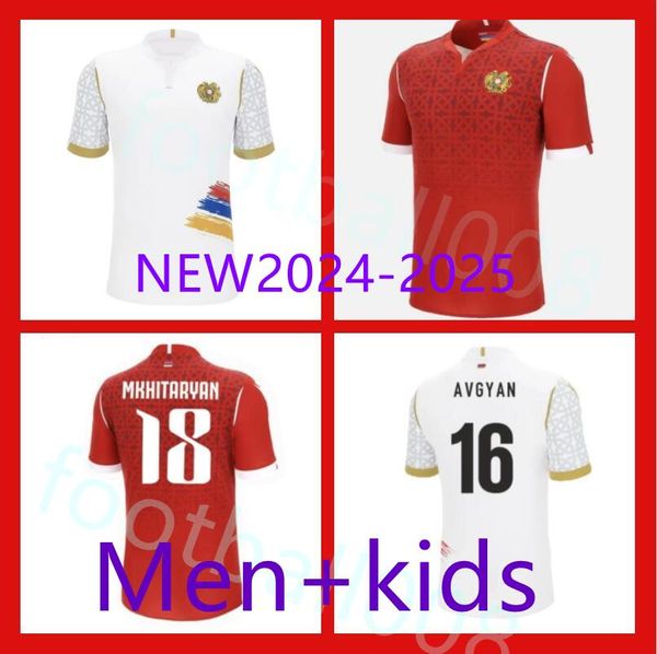 2024 2025 Armenia Soccer Jerseys 22 24 Adults Match Match Jersey Training Uniform Men Football Shirts Technical Sportswear 4xl
