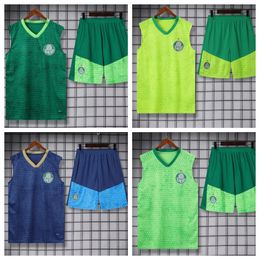 2024 25 Palmeiras Soccer Jerseys Suitts Suit 2024 New Breno Lopes R.Veiga Deyverson Football Training Suit