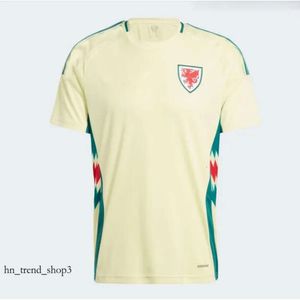 2024 25 Wales Voetbalshirts BALE WILSON ALLEN RAMSEY World National Team Cup Rodon VOKES Thuisvoetbalshirt Korte mouw Uniformen voor volwassenen Fans Speler 940