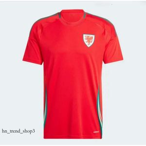 2024 25 Wales Voetbalshirts BALE WILSON ALLEN RAMSEY World National Team Cup Rodon VOKES Thuisvoetbalshirt Korte mouw Uniformen voor volwassenen Fans Speler 399