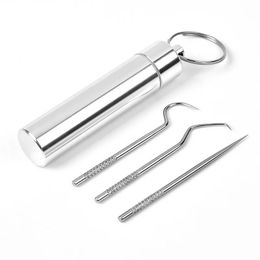 2024 304 Draagbare herbruikbare roestvrijstalen tandenstokers metalen tandschraper Dental picks haken reinigingsset met tandenstokershouder