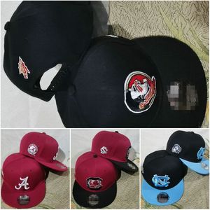 2024 All Team Fan's USA College Baseball Verstelbare South Carolina Gamecocks-hoed op veld Mix Bestelgrootte Gesloten Flat Bill Base Ball Snapback Caps Bone Chapeau A7