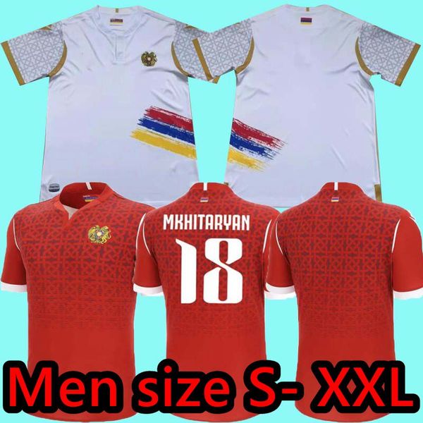 2024 Armenia Football Jerseys 23 24 Adult Home Adult Ranos Zelarayan Match Jersey Training Training Wear Football Shirt