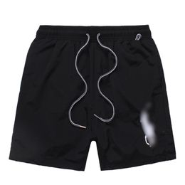 2024 pantalones cortos de bordado de caballo grande de alta calidad hombres diseñador moda de verano secado rápido streetwear moda casual playa ropa deportiva pantalones cortos para hombre