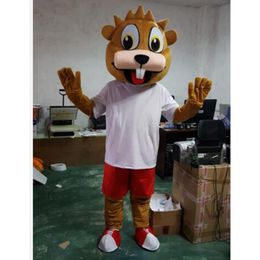 2024 Costoon Squirrel Mascot Costume Event des accessoires promotionnels Costume de personnalisation Costume Costumes