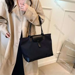 2024 Sac de grande capacité décontracté Femmes Tote Sac Concepteur Tolevas Hands Hands Quality High Lady Sac à épaule imperméable Nylon Femme Bag AZ