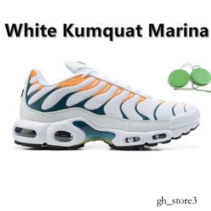 2024 Design plus tn hardloopschoenen mannen sneaker triple wit rood metallic zilver wereldwijd vuur ijs oreo hyper sky bule regenboog rook grijs neon mannen vrouwen 537