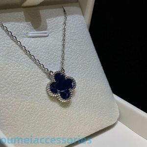 2024 Designer JewelleryVanl Cleefl Arpelsnecklace kettingen Fanjias Nieuwe Pi de Shi vier bladgrasblauw tien bloem