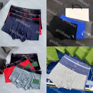 2024 Designer Mens Underwear Summer Ice Silk Underpant Brand LETTER BOXERS IMPRIMÉS BOSES