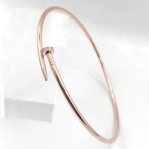 2024 Designer Ketting Hanger Ketting Titanium sieraden groothandel dames gladde harde ring ketting klassieke nagelboor kraagQ6