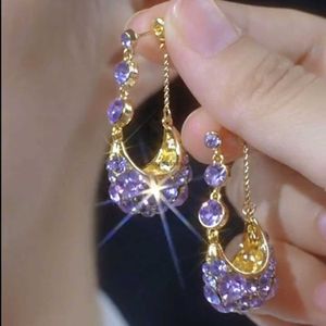 2024 oorbellen nieuwe high -end luxe paarse kristallen kwastje met mand voor en achter hangend licht veelzijdig 1dtl6