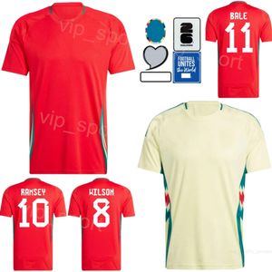 2024 Euro Cup Wales Soccer 14 Connor Roberts Jerseys 11 Gareth Bale 9 Brennan Johnson 13 Kieffer Moore 20 Daniel James 8 Harry Wilson Football Shirt Kits National Team