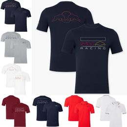 2024 F1 Fans de course T-shirt Formule 1 Team Polo T-shirt T-shirt Summer Men's Casual Breathable Crew Necy T-shirts Sports Jersey Tops