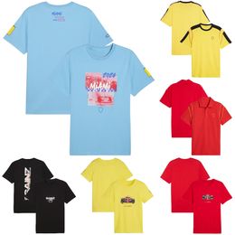 2024 F1 Racing T-shirt Formule 1 Polo Polo T-shirt Fans de course masculine Jersey New Saison Team T-shirt Tops Plus Size Custom
