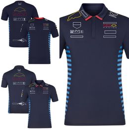 2024 Camiseta del equipo de carreras de F1 Camisetas de polo de piloto de Fórmula 1 Camiseta Ropa de carreras para hombres Tops Nueva temporada Camiseta para fanáticos de los deportes de motor Jersey