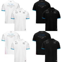 2024 Camiseta del equipo F1 Camiseta de polo de piloto de Fórmula 1 Camiseta de nueva temporada Deportes de carreras Camiseta extragrande informal Camiseta de jersey para hombre de verano