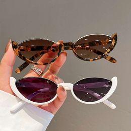 2024 Modemerk Zonnebril voor vrouwen en mannen Cat Eye Designer Sun Glasses Trend Glamour Ladies Eyewear UV400 L2405
