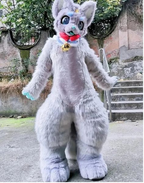 2024 Halloween Husky Dog Fox Costume de mascotte Cartoon Animal Anime Thème Personnage Taille adulte Carnaval de Noël Fête d'anniversaire Fantaisie Outfit