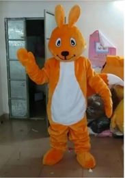 Costume de mascotte d'écureuil Orange d'halloween, robe de soirée de carnaval de noël, Costumes fantaisie, tenue pour adultes, 2024
