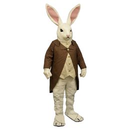 Costume de mascotte de beau M. Lapin, costume de lapin de pâques, tenue complète du corps, 2024