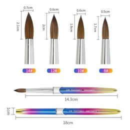 2024 Vendre à chaud Metal Gradient Pole Pure Mink Clain Nail Crystal Pen Sibère Mink Hair Crystal Paint Scarbing Curving pour Nail Art Crystal Pen