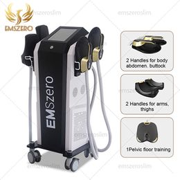 2024 CALIENTE Adelgazamiento especial Neo DLS-EMSLIM Equipo de belleza moldeador de quema de grasa RF 14 Máquina de estimulador muscular electromagnético Tesla con salón de 2/4/5 manijas