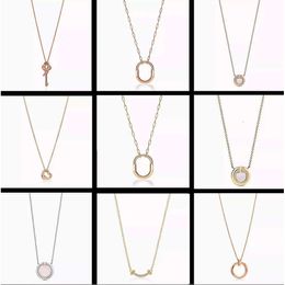 2024 sieraden designer ketting cadeau hebben sieraden natuur Engelse plaat goth hars hang ketting moissanite choker sieraden zwaan