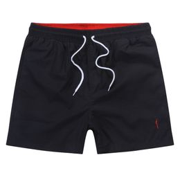 2024 Hombres Pequeño caballo bordado para hombre diseñador natación troncos pantalones cortos de playa moda secado rápido para hombre casual nadar corto